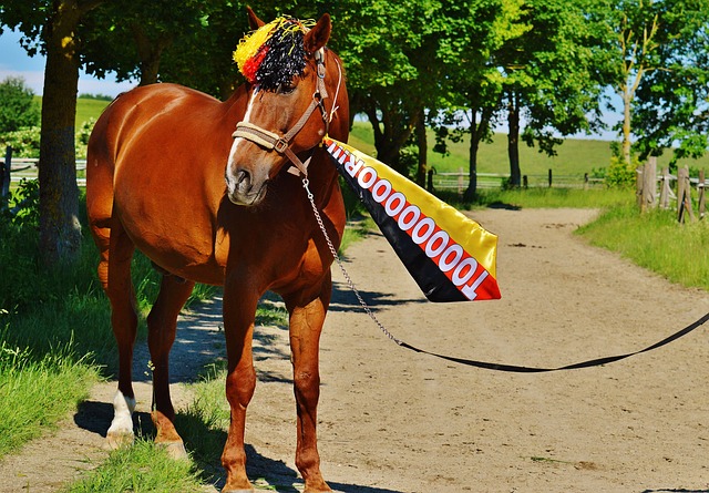 会继续以 会继续以