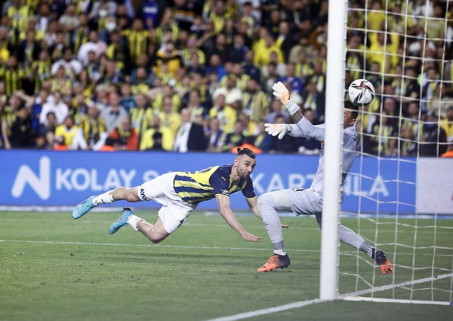 经纪团队倾 经纪团队倾