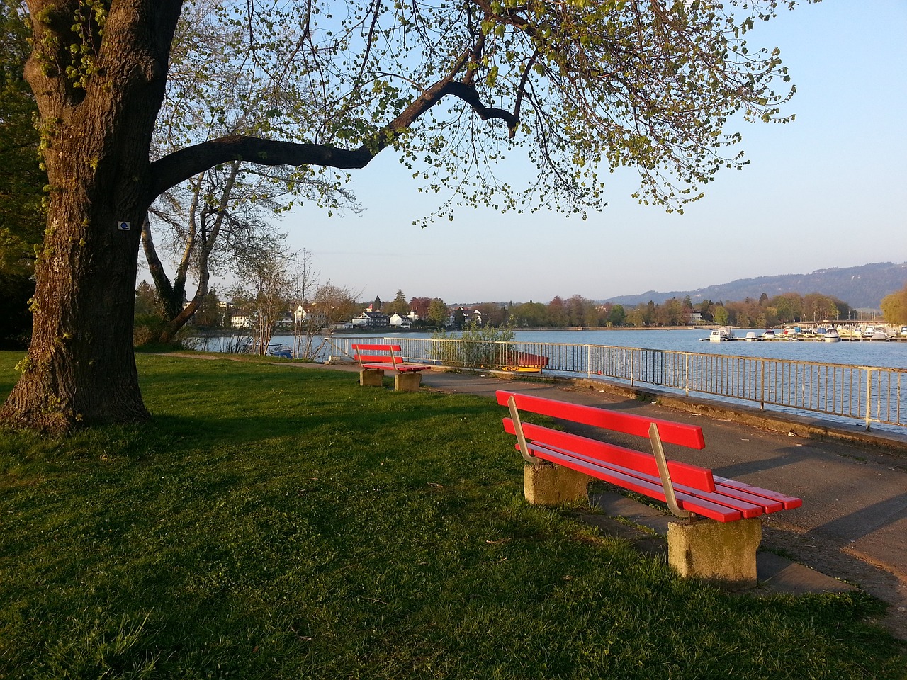 保障運動員 保障運動員