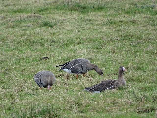 特的助力下 特的助力下