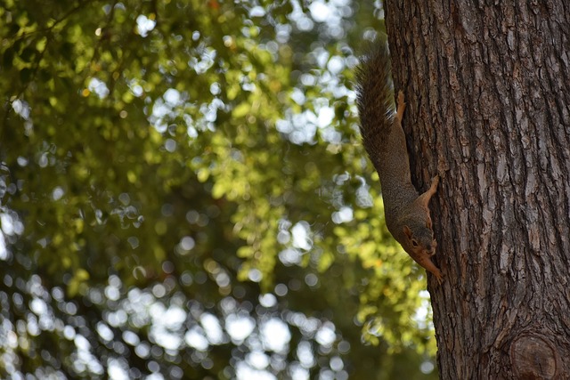 给球队和球 给球队和球